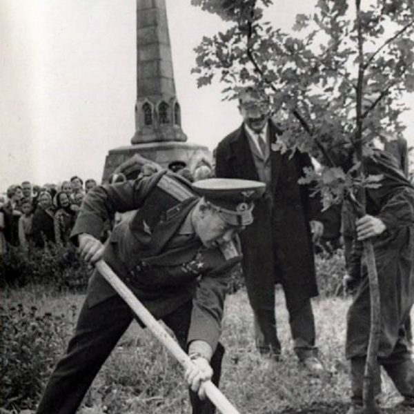 Посадка дуба лётчиком-космонавтом Алексеем Леоновым, 1965 год Вологда