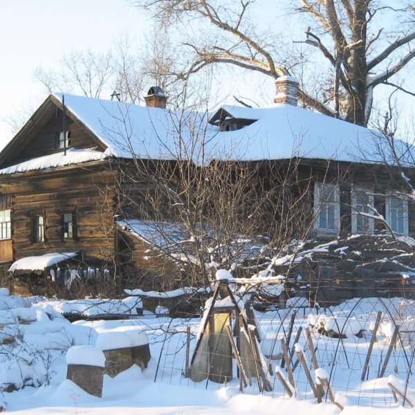 Дом Проскуряковых на ул. Бурмагиных №38, 2008 год Вологда